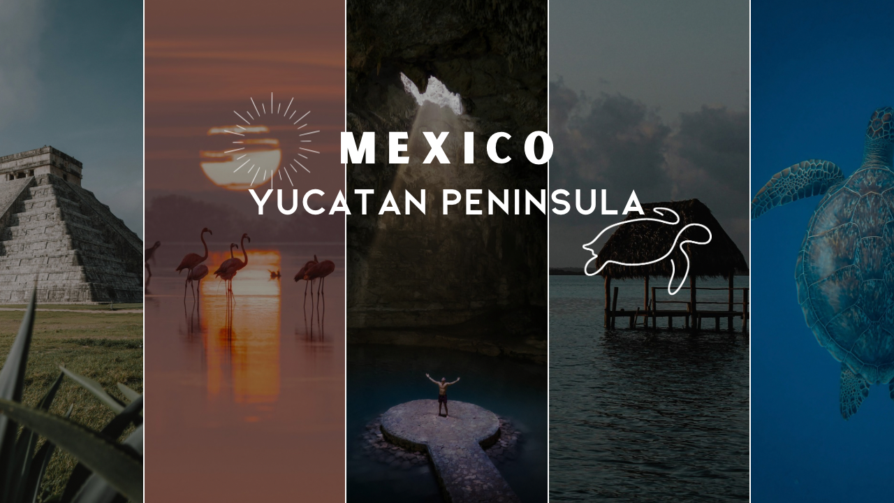 Mexico Promo Photo