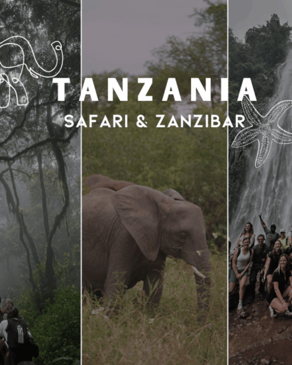 hiking kilimanjaro